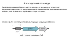 Плазмиды, слайд 27