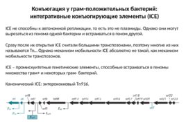 Конъюгация, слайд 20