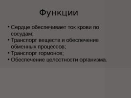 Анатомия - сердечно сосудистой системы, слайд 2