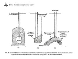 Солнечные тепловые элктрогенераторы, слайд 268