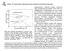 Солнечные тепловые элктрогенераторы, слайд 78