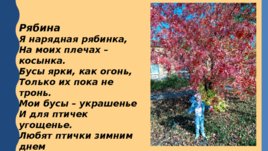Книжка-малышка «Осенние деревья в стихах», слайд 5