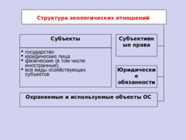 Экологическое право (05,11), слайд 4