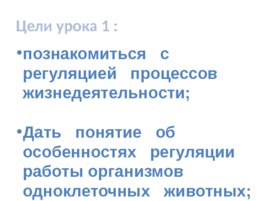 Координация и регуляция процессов жизнедеятельности живых организмов, слайд 2