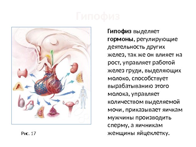 На представленном ниже рисунке ученик увидел один из процессов жизнедеятельности растений 2 вариант