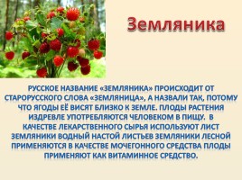 Лесные ягоды Болотнинского района, слайд 4