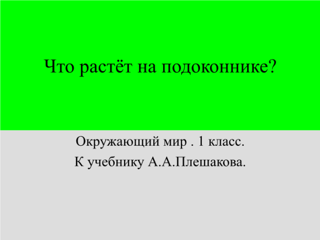 Что растёт на подоконнике?