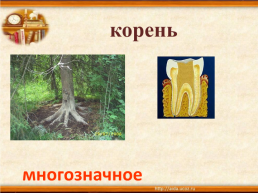 Урок русского языка в 3 классе, слайд 16