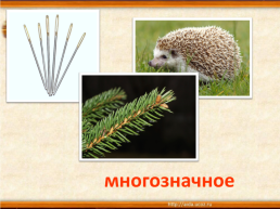 Урок русского языка в 3 классе, слайд 19
