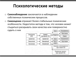 Дифференциальная психология, слайд 10