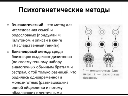 Дифференциальная психология, слайд 8