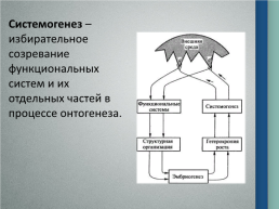 Системогенез и теория функциональных систем П.К. Анохина, слайд 3