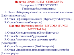 Грибы и грибоподобные организмы (mycota, или fungi), слайд 111