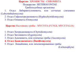 Настоящие грибы (царство mycota, fungi, mycetalia). Грибоподобные организмы (царство chromista)., слайд 2