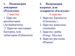 Основы альгологии и микологии, слайд 7