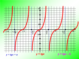 Функции y = tgx и y = ctgx, их свойства и графики, слайд 11