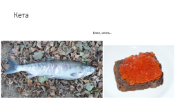 Костистые рыбы (под класс), слайд 8