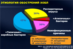 Эпидемиология и этиология внебольничных респираторных инфекций, слайд 10