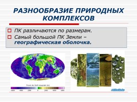 Природные комплексы суши и океана, слайд 13