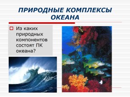 Природные комплексы суши и океана, слайд 9