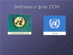 Право международных организаций, слайд 14