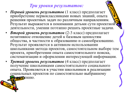 Организация проектной деятельности учащихся в начальной школе, слайд 12