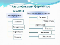 Экзаменационный билет № 3, слайд 2