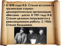 Сталин: политик и человек, слайд 8