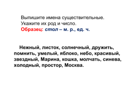 Русский язык 3 класс. Имя существительное, слайд 9