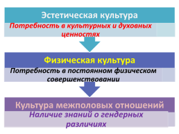 Сущность процесса обучения, слайд 11
