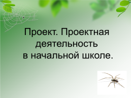 Проектная деятельность в начальной школе