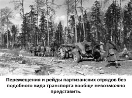Домашние животные на фронтах Великой Отечественной войны, слайд 4