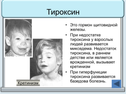 Тренажер "железы организма человека", слайд 25