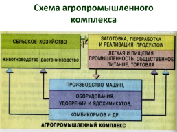 Подготовка к огэ по географии. Вопрос 5:"Отрасли хозяйства России", слайд 82