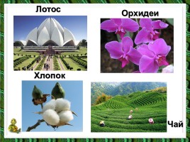 Путешествие по странам Евразии, слайд 83