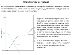 Глобальные регуляторные системы бактерий, слайд 3