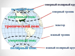 Природные зоны России, слайд 11