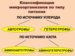 Физиология бактерий. Питательные среды. Методика выделения чистых культур 1 день., слайд 2