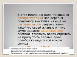 Комплексный анализ предложений как подготовительный этап к работе с текстом, слайд 13