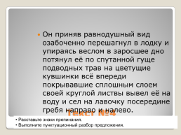 Комплексный анализ предложений как подготовительный этап к работе с текстом, слайд 16