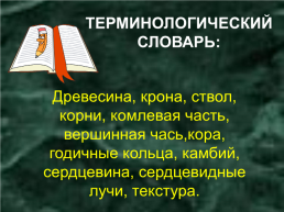 Древесина – природный конструкционный материал. Лесоматериалы. Пиломатериалы, слайд 22