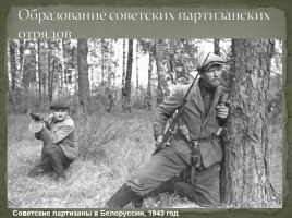 Партизанское движение в годы Великой Отечественной войны, слайд 3
