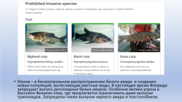 Акклиматизация, экзогенные и инвазивные виды, слайд 23