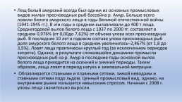 Основные промысловые виды бассейнов рек тихого океана. Северное полушарие. Умеренная –зона., слайд 59