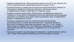 Основные объекты морского промышленного рыболовства, слайд 34