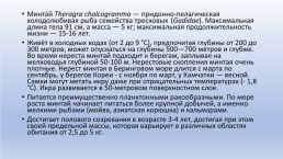 Основные объекты морского промышленного рыболовства, слайд 4