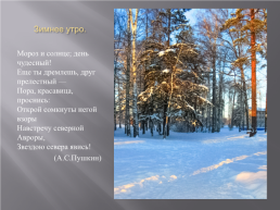 Вахтанская зима, слайд 10