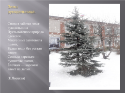 Вахтанская зима, слайд 12
