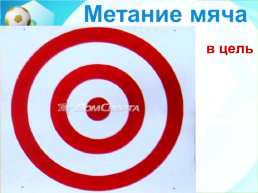 Правила безопасного поведения на уроках лёгкой атлетики, слайд 31