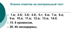 Размножение. Митоз и мейоз наглядное электронное пособие по биологии для 9, 10 классов, слайд 38